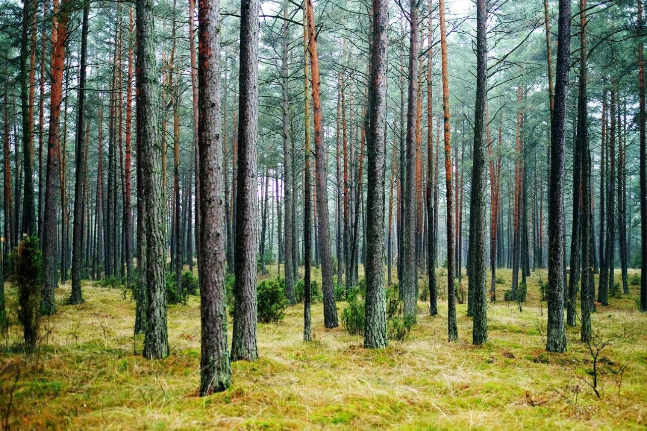 Domki Pod Jablonka Elganowo Extérieur photo